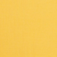 Thumbnail Image for Sunbrella Elements Upholstery #48024-0000 54" Spectrum Daffodil (Standard Pack 60 Yards)