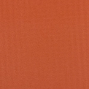 Thumbnail Image for Weblon Coastline Plus Duplex #CP-2752 62" Rust / Ivory (Standard Pack 50 Yards) (ED)