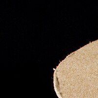 Thumbnail Image for Sunbrella Marine Binding 3/4" x 100-yd 4642 Oyster