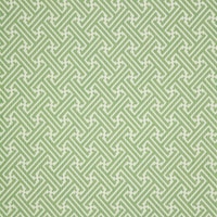 Thumbnail Image for Sunbrella Fusion #44216-0005 54" Meander Shamrock (Standard Pack 60 Yards)   (EDC) (CLEARANCE)