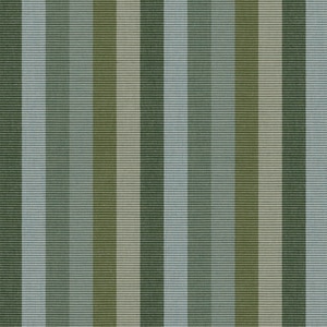 Thumbnail Image for Sunbrella Upholstery #40637-0000 54" Entice Moss (Standard Pack 60 Yards)