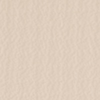 Thumbnail Image for Weblon Coastline Plus #CP-2797 62
