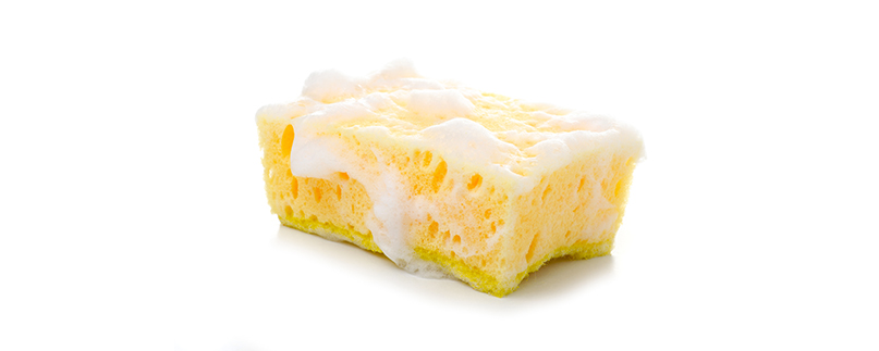 soapy yellow sponge