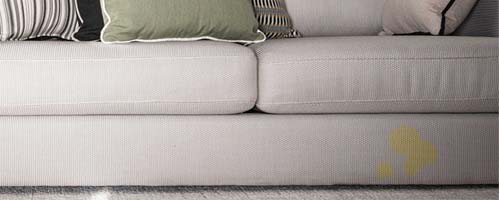 image of a yellow pet stain on the right bottom section of a sofa
