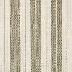 Phifertex Stripes Collection #ZHU 54" 42x14 Spectrum Stripe Dune (3044374)