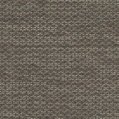 Sunbrella® Sling Elite Upholstery 54" Igneous Granite 5288-0005