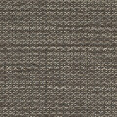 Sunbrella® Sling Elite Upholstery 54" Igneous Granite 5288-0005