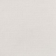 Sunbrella Rockwell Upholstery 54" Casava White 44496-0001