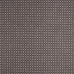 Sunbrella Dimension Upholstery 54" Depth Fossil 16007-0003 (Clearance)