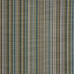 Phifertex® Stripes Upholstery  54" Trixie Stripe Myrtle LDB 42x14
