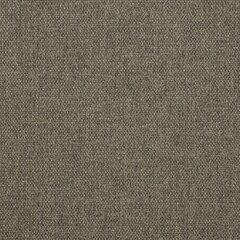 Sunbrella® Makers Upholstery 54" Blend Sage 16001-0004 (Clearance)