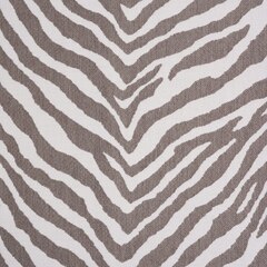 Sunbrella Fusion Upholstery 54" Namibia Grey 145799-0002