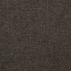 Sunbrella Balance Upholstery 54" Nuture Charcoal 42102-0006