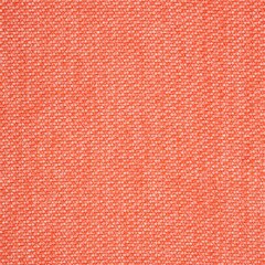 Sunbrella Fusion Upholstery #42082-0021 54" Tailored Guava