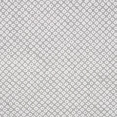 Sunbrella Fusion Upholstery 54" Shibori Silver 145360-0013 (Clearance)