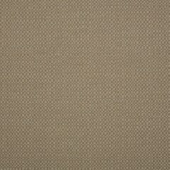 Sunbrella® Elements Upholstery 54" Action Taupe 44285-0003 (Clearance)