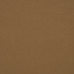 Sunbrella® Elements Upholstery 54" Canvas Cocoa 5425-0000